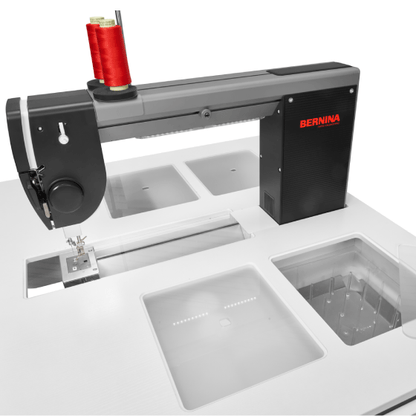 Bernina Q20 with Life Table