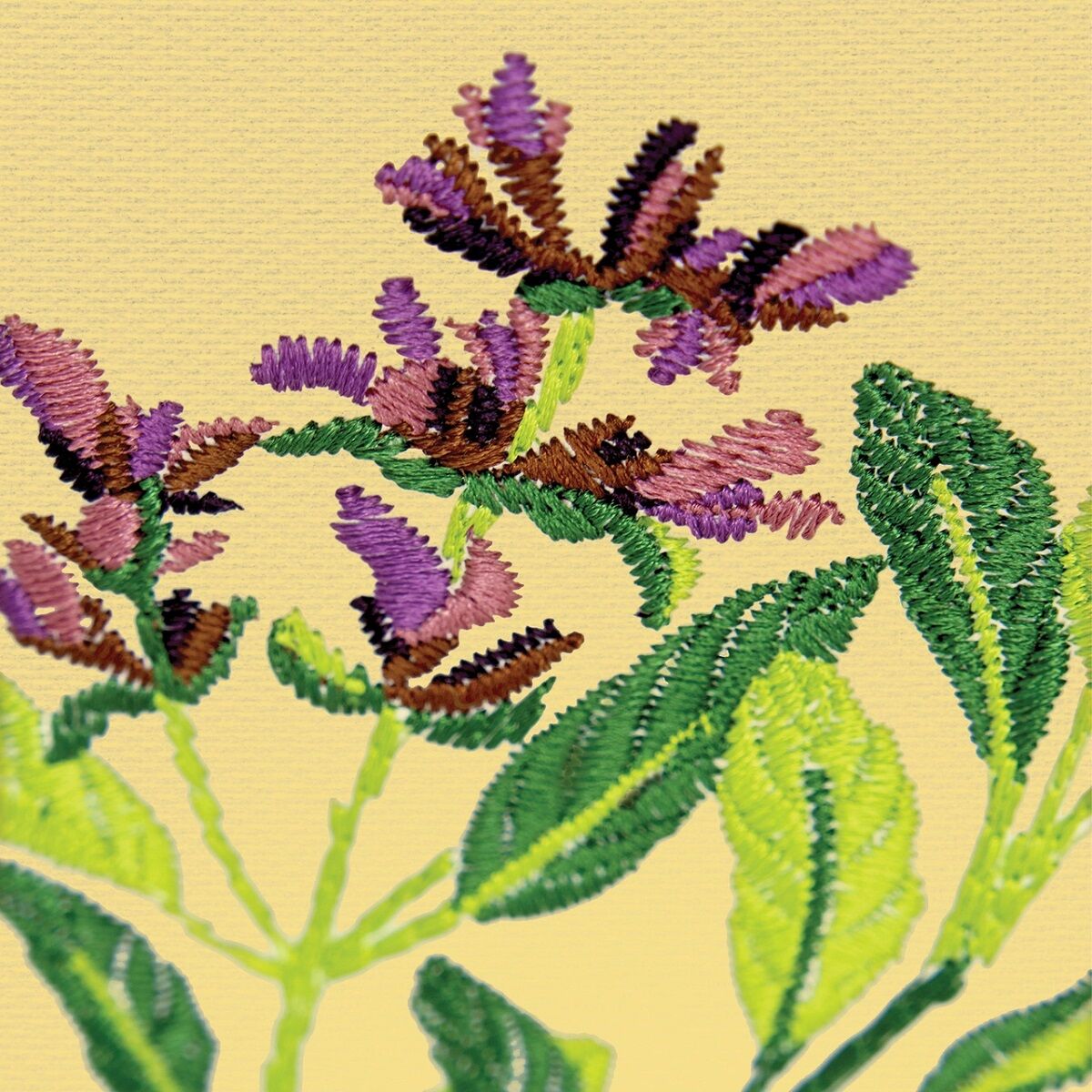 OESD Herb Garden Embroidery Design Collection | Quality Sewing