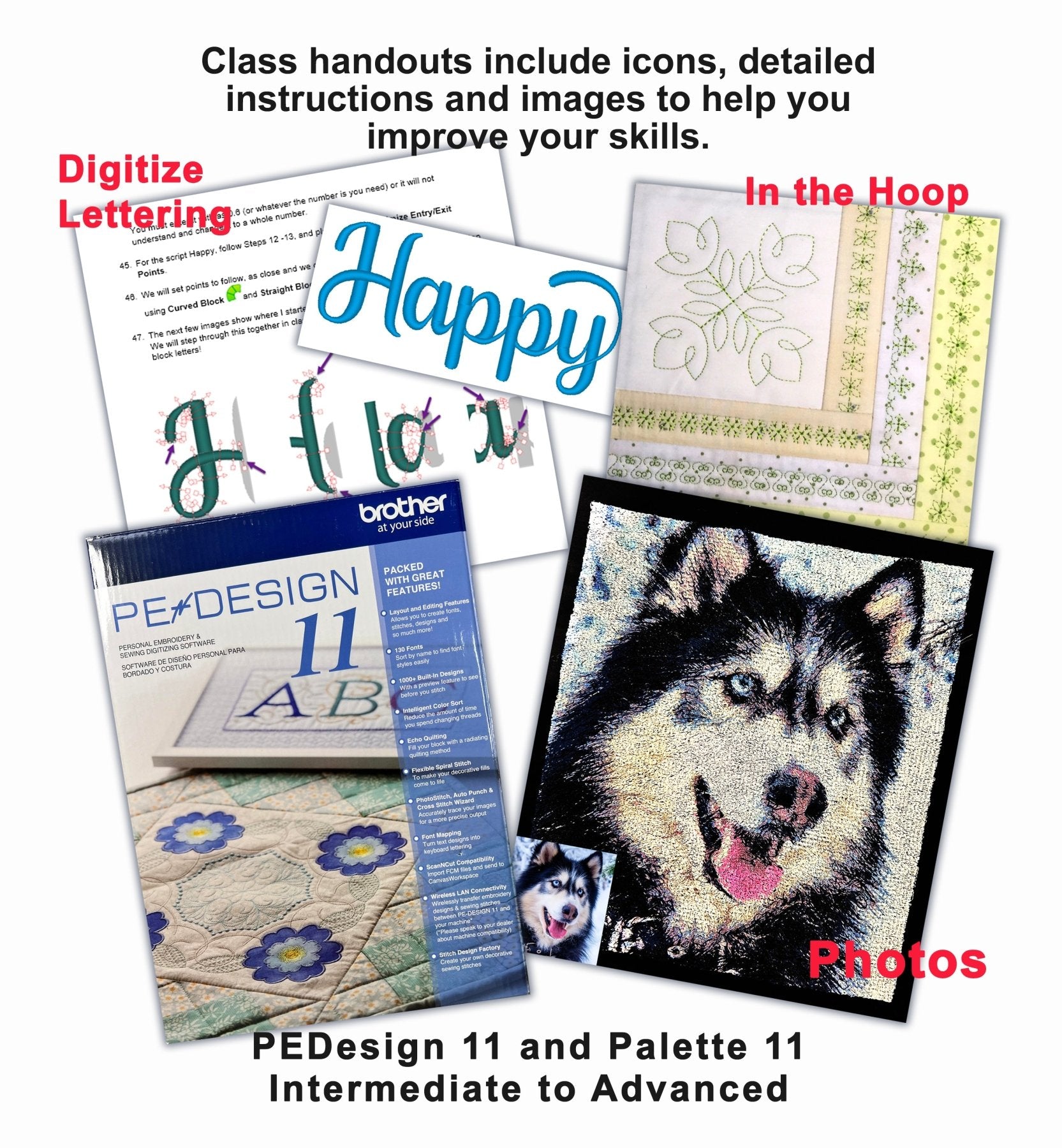 VIRTUAL: PE-Design 11/Palette 11 Intermediate to Advanced Digitizing Class