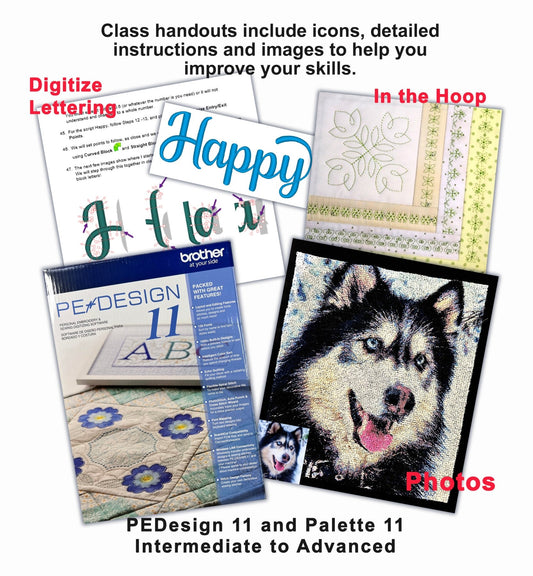 VIRTUAL: PE Design 11/Palette 11 Intermediate to Advanced Digitizing Class - Quality Sewing & Vacuum